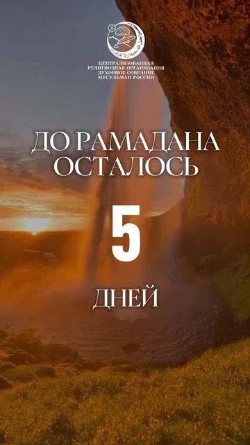 Рамадан #shorts