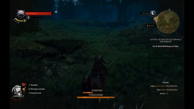 [045] - Wir helfen Triss und Philippa ★ Let's Play The Witcher 3 Wild Hunt