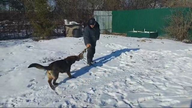Игра в мешок Васаби с Красных Прудов 6 мес.  2025-02-23