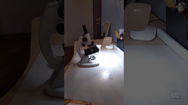 Обзор микроскоп🔬