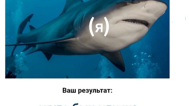 Роза и доза
