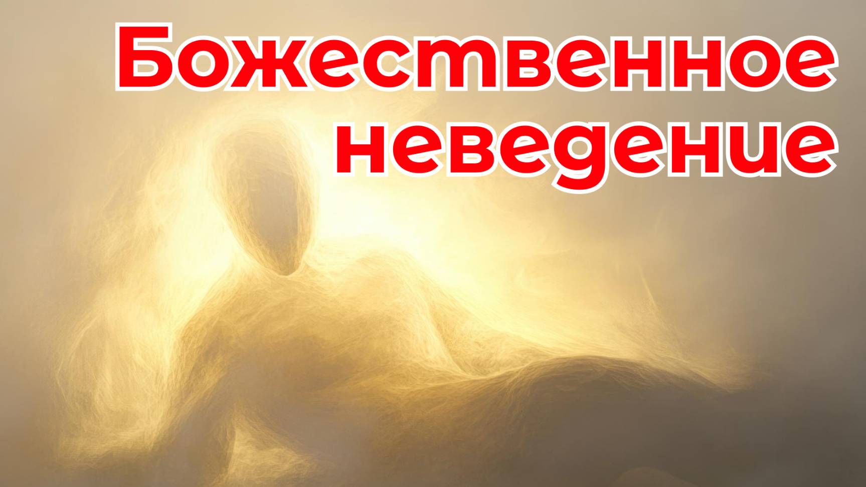 013. Божественное неведение / просветление самопознание медитация (Роберт Адамс)