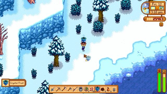 Stardew Valley Y1D12Winter