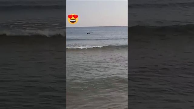 СПАСАТЕЛЬ