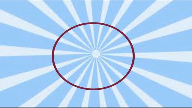 5 Фактов о моей собаке