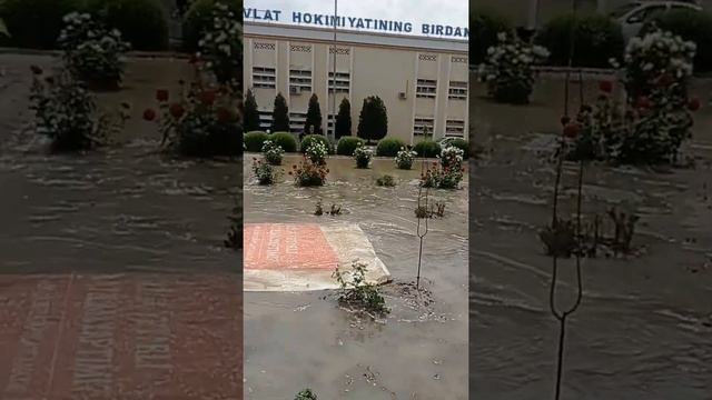 багат туманимиз курки