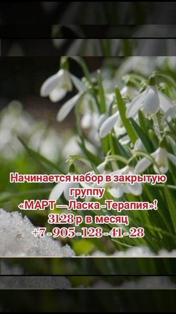 🌟 Внимание! 🌟

Начинается набор в эксклюзивную закрытую группу «МАРТ — Ласка-Терапия»!➡️