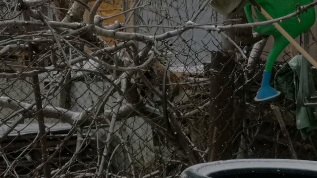 Пушистая кошечка и снег || A very fluffy kitty snowing