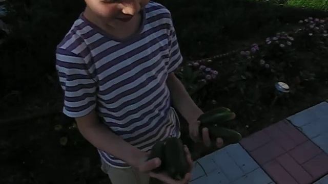 Семейное. На грядках.