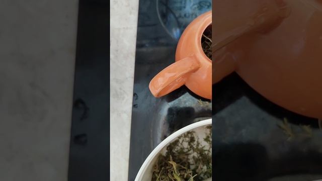 Ароматный чай из чабреца.