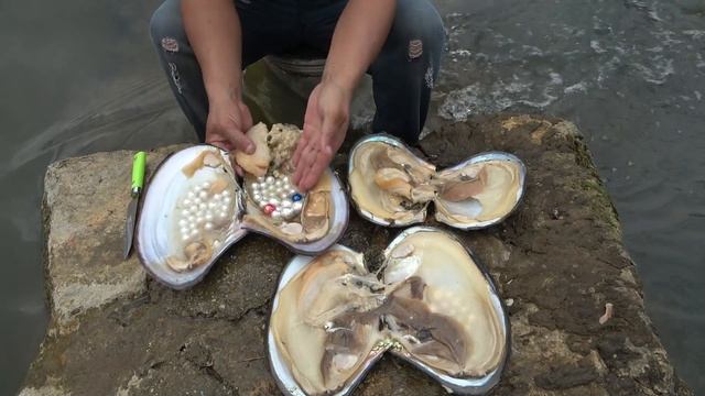 Classic white pearls hand-collected in Cuntou, top quality and high value