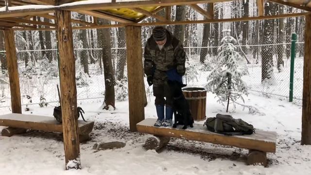 14 ноября 2019 г.