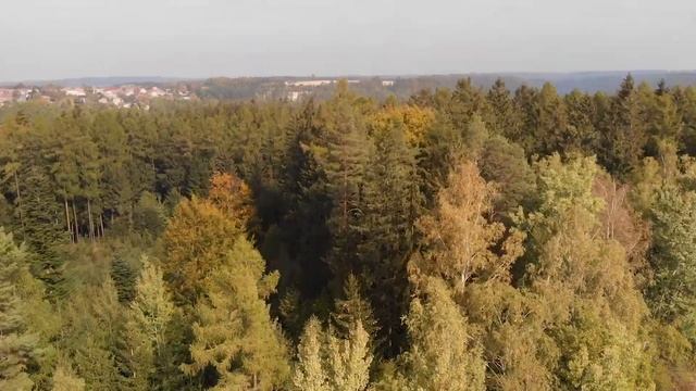 Mavic Air-Flight_Test