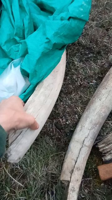 Сезон 15 серия 117 Вечер, трофеи