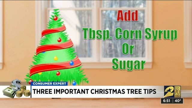 Tips to help keep your tree fresh