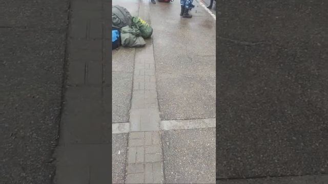 Встречаем Гостей