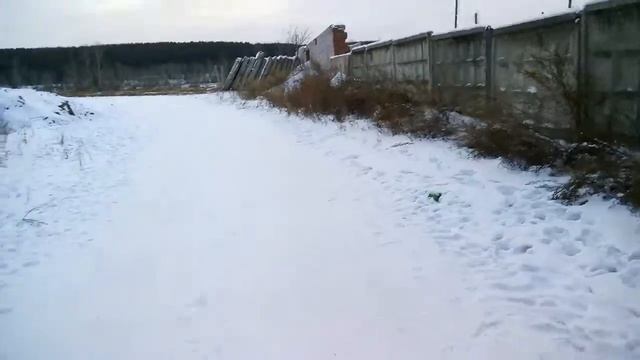 Тыковки на снегу...рыженькие на белом.