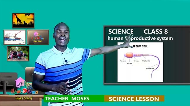 CLASS 8 SCIENCE LESSON - THE REPRODUCTIVE SYSTEM BY TEACHER MOSES