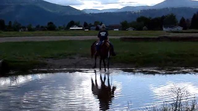 sapphire jasmine_0001.wmv
