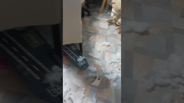 1000065127.mp4