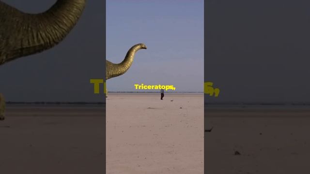 The Cretaceous period #history #funfacts #shortvideo