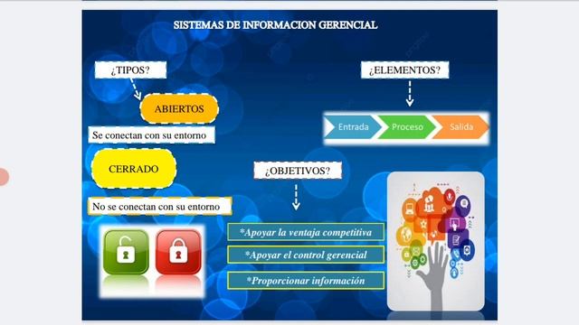 SISTEMAS DE INFORMACIÓN GERENCIAL(SIG)