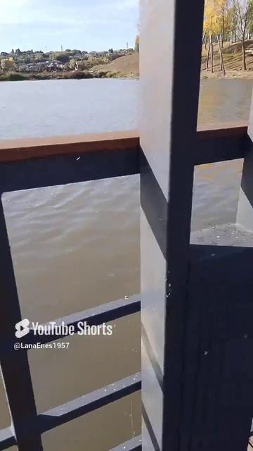1000025694.mp4