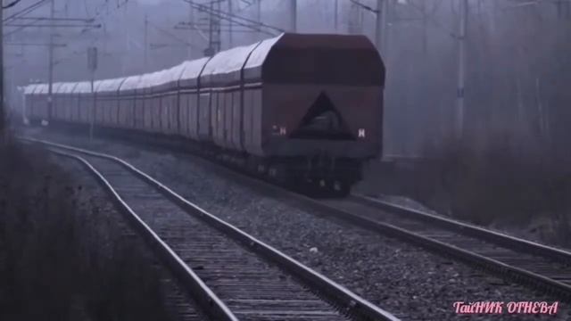 Крик дня(видеооткрытка)