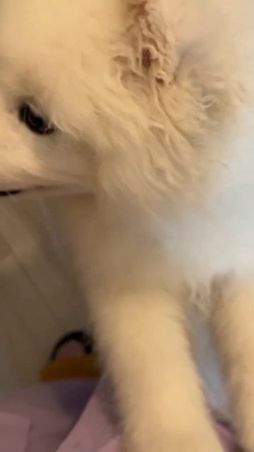 🤏🏻