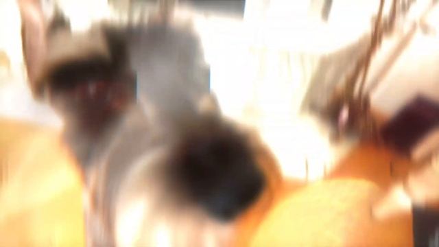 Собачка 🐶