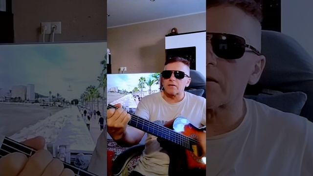 Голуби целуются на крыше