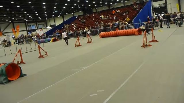 17.12.16 Экспофорум Open Дина 2 трасса