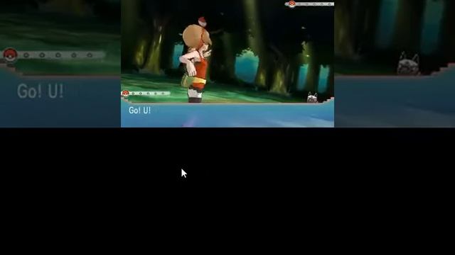 Pokemon Alpha Sapphire 3:08 Speed Run Segment 5