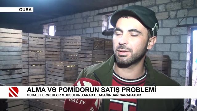 Alma və pomidorun satış problemi
