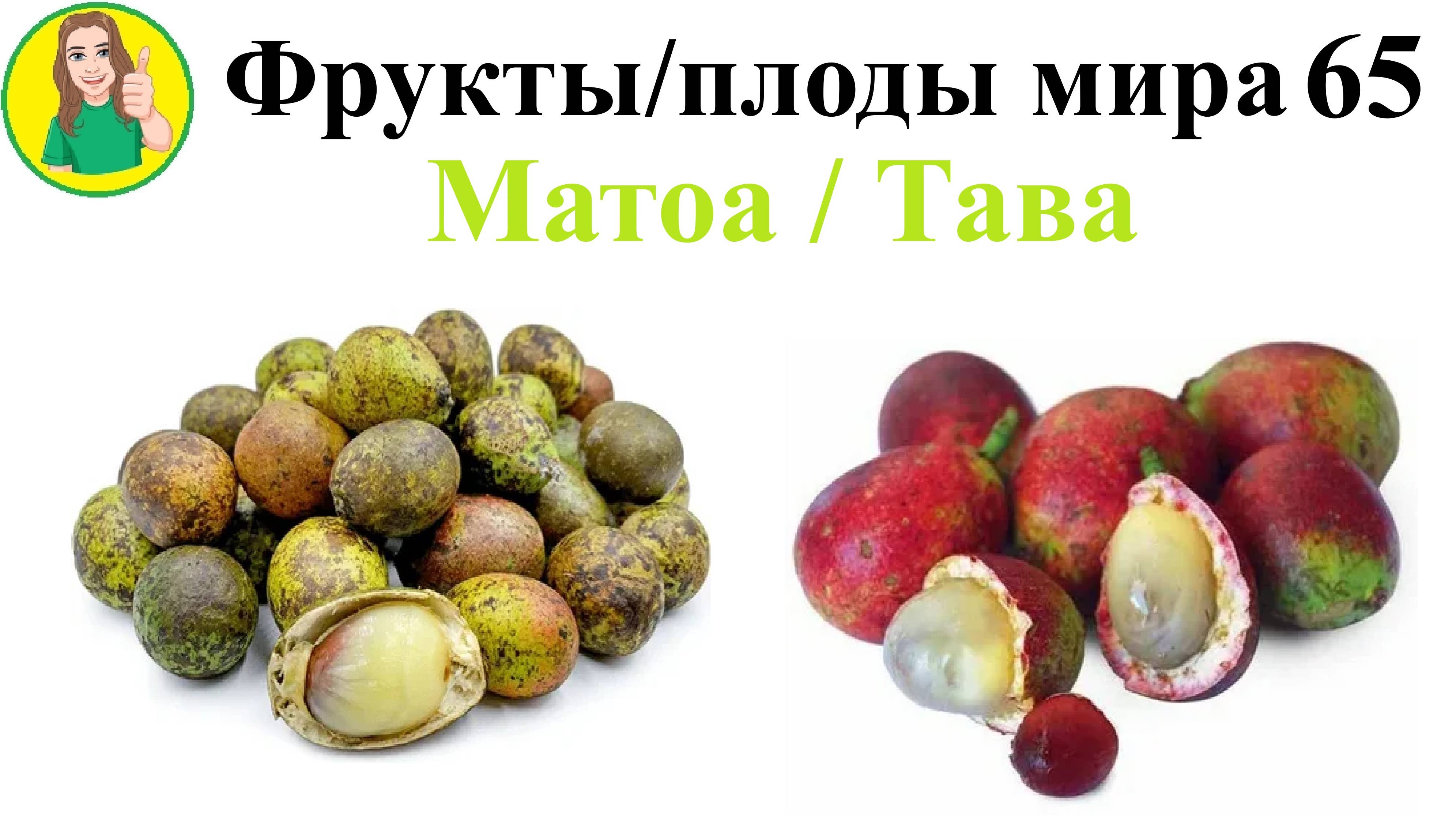 Фрукты - плоды мира 65 – Матоа или Тава - Сыроедение Фрукторианство