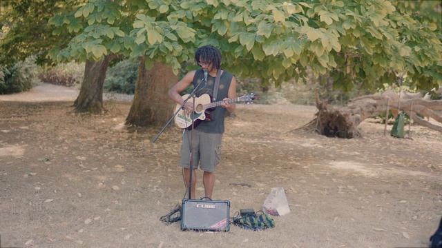 Sage Leaf - Old Maple Tree (Live Session) (Dir. by @Tylrnelson)