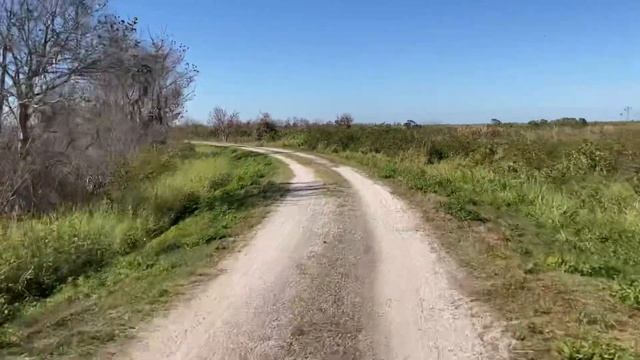 Day 2 - Lake Apopka Loop Trail - Surly Midnight Special Having A Blast