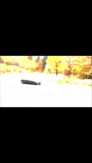 scene_output.mp4