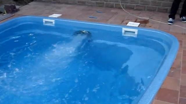 Compass Pools / модель Riverina 74 / цвет Blue Saphire