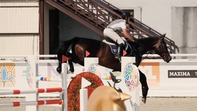 EquiCenter - ваша лошадь мечты у нас!