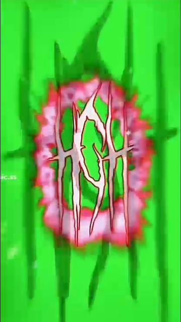 1000005099.mp4
