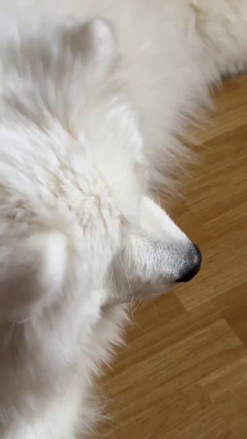 💞
