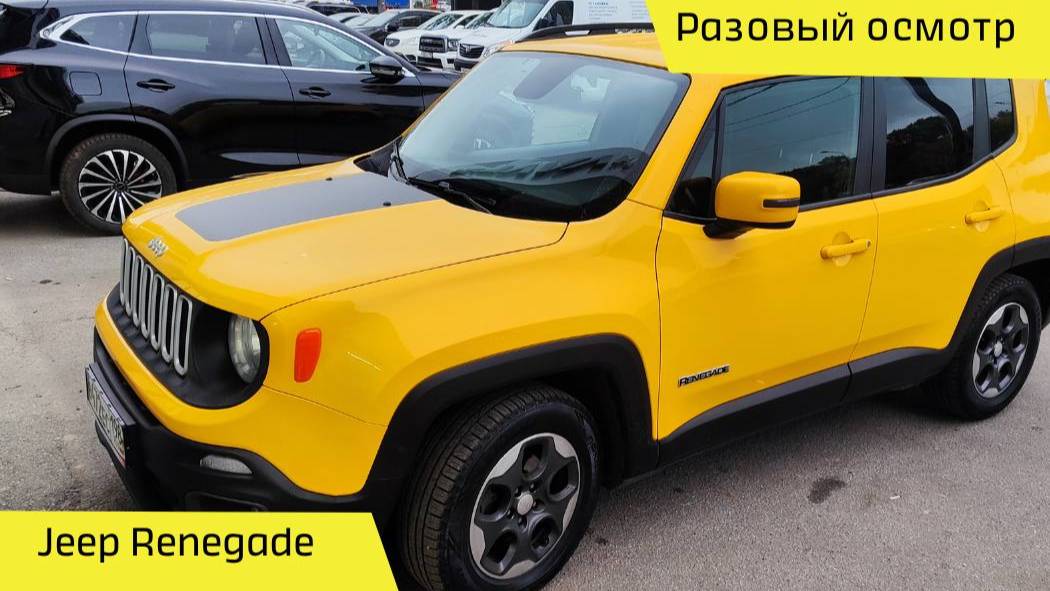 🚀 Разовый осмотр Jeep Renegade