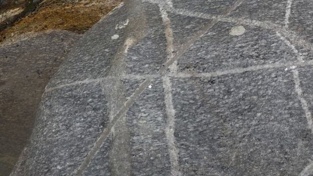 Aplites and pegmatites - Bulgaria