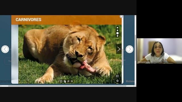 English class 2nd grade. Clil project The animal show.