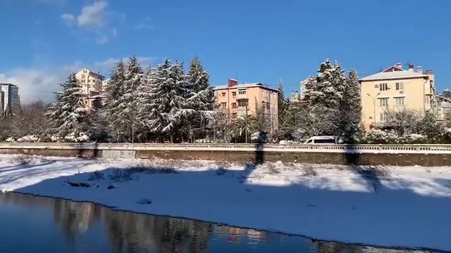 Снежный Сочи! 22 февраля  2025 ❄️🌴 Пальмы в сугробах - такого вы еще не видели!