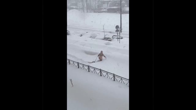 Зимняя прогулка