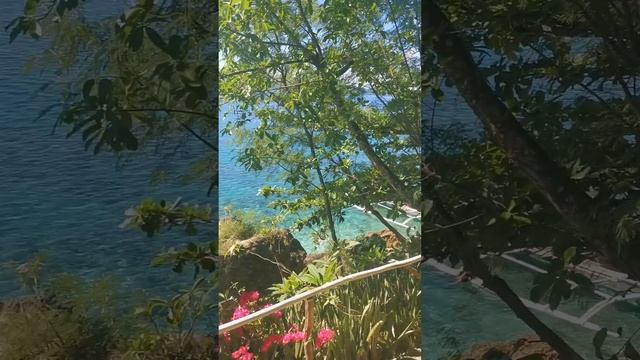 Dalawon Island Tabango Leyte