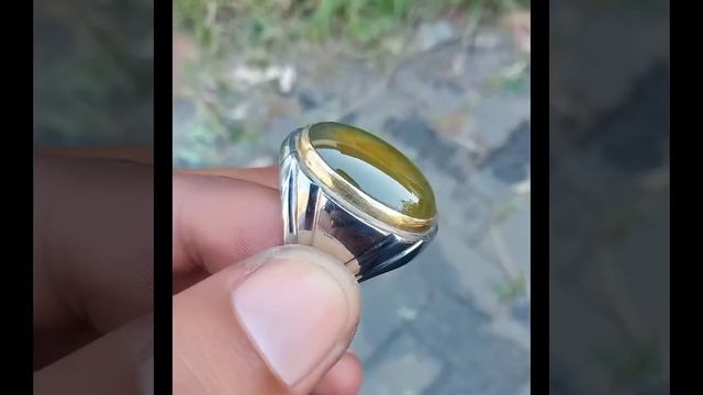 Pesona idocrase ( bio solar aceh )
