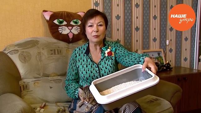 приручаем котенка к туалету